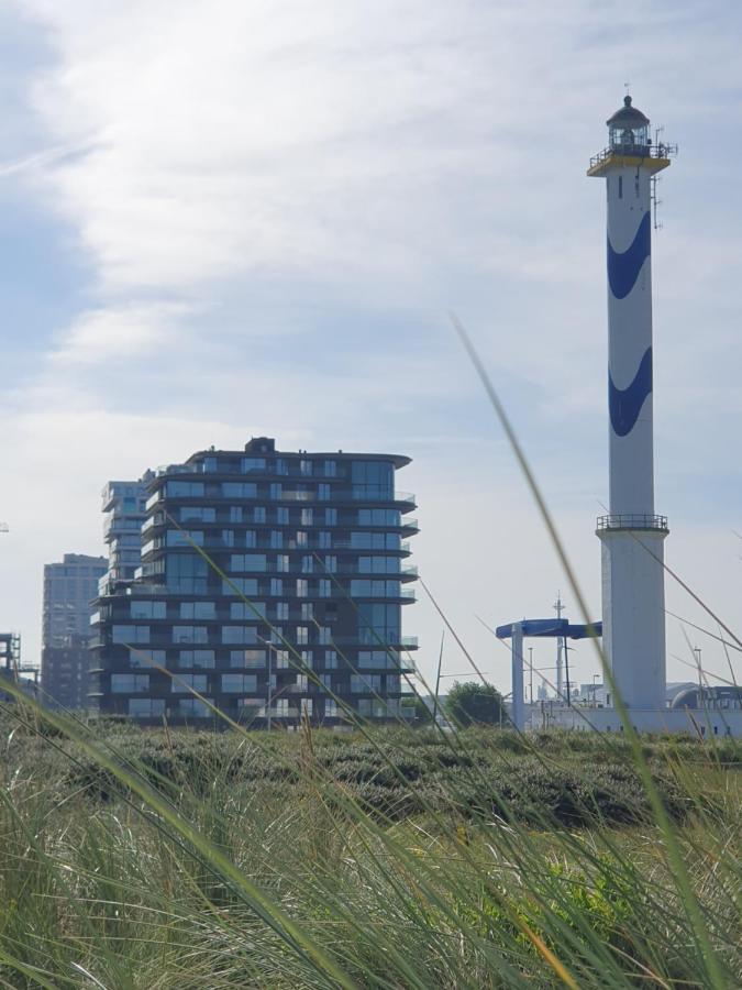 Central Park Tower Sea View Residence With Pool And Gym Остенде Екстериор снимка